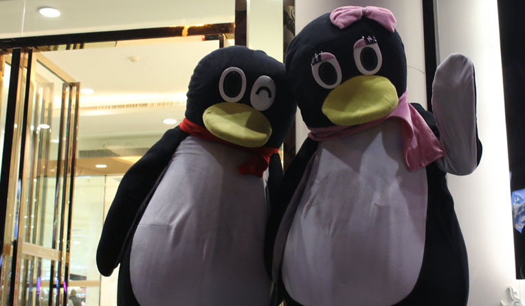 現場的這兩只,也興奮地手舞足蹈起來,是不是很萌呢?