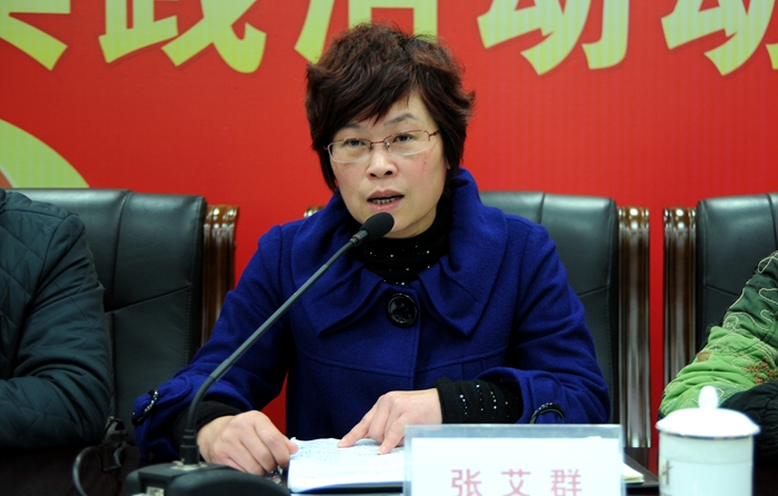 鏡湖區兩新黨工委副書記、區第七監督組組長張艾群講話