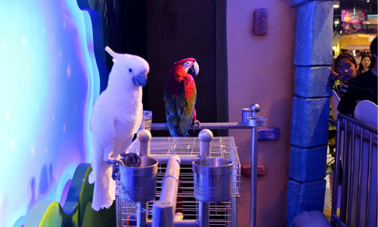 小馬王國周年慶活動豐富多彩